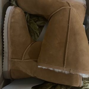 Brand new kookaburra Uggs. New in the box never used.